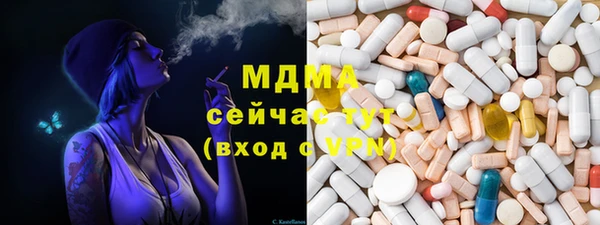 прущие грибы Абаза