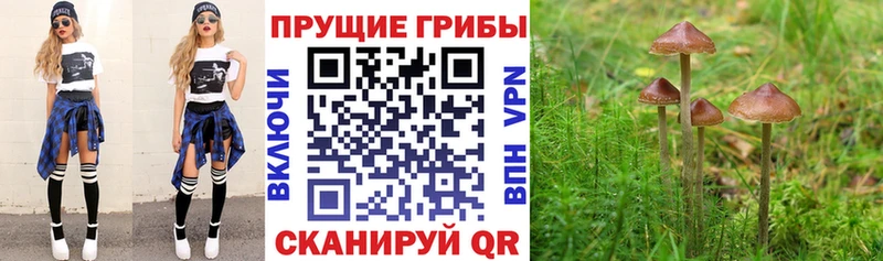 Псилоцибиновые грибы Magic Shrooms Лодейное Поле